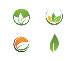 green leaf ecology nature element