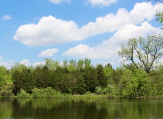 Fototapeta na wymiar The white cloudscape and the reflecting trees off lake.