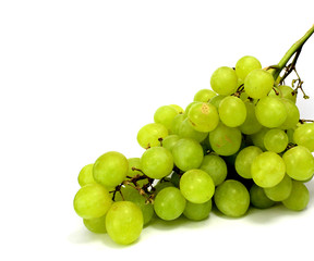 Weiße Trauben isoliert