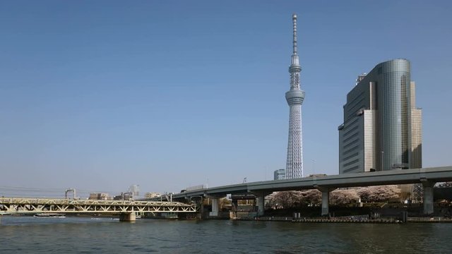 東京の桜・タイムラプス・隅田公園