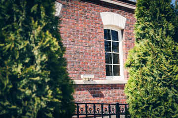Window of an ancient building through thuja.