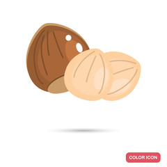 Hazelnuts color flat icon