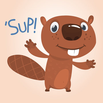 Excited cartoon beaver waving with his hands saying 'Sup!'. Brown beaver mascot. Vector illustration
