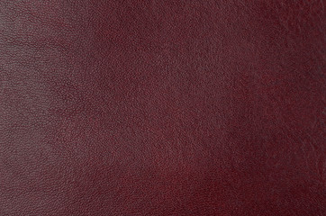 Natural leather background