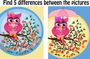 Children games: Find differences. Little cute owl sits on the tree branch.