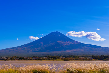 Fototapeta premium Mount Fuji which is viewed from lake Kawaguchiko in autumn