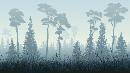 Horizontal illustration of forest with grass.