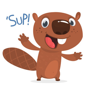 Excited cartoon beaver waving with his hands saying 'Sup!'. Brown beaver character. Vector illustration