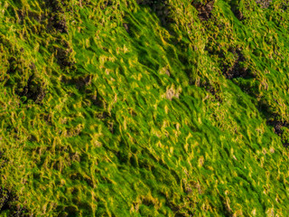 Typical for Ireland - the green grass hills