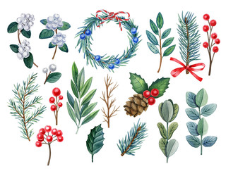 Christmas decoration with evergreen branches, juniper, red berries. Watercolor hand drawn detailed christmas decoration. Can be used as packaging, textile, fabric, wrapping paper, greeting card.