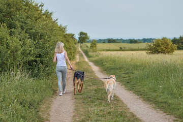 Hübsche junge Frau geht mit ihren Hunden spazieren