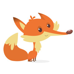 Cartoon fox character. Vector illustration of fox isolated