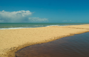 Fototapeta na wymiar Beautiful desert beach and its water stream - Praia das ostras - Oyster beach in Prado - Bahia