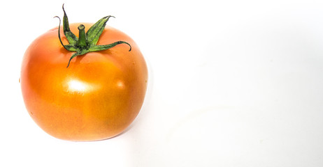 tomatos in withe background