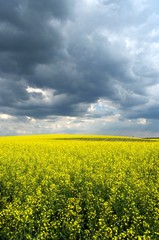 Obraz premium Warmia_2018