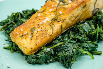 Lachs auf Spinat