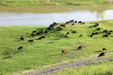  Dongting river beach scenery