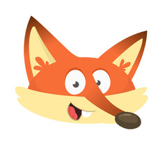 Cartoon fox head icon. Vector illustration