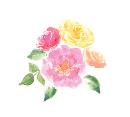 Flower watercolor of bouquet roses on white isolated, hand painted