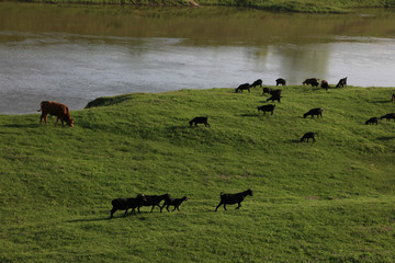  Dongting river beach scenery