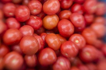 A lot of tomatoes