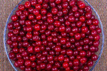 Red cherries background, close up