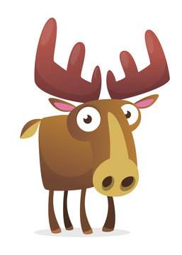 Funny cartoon moose character. Vector moose illustration isolated. Forest animals