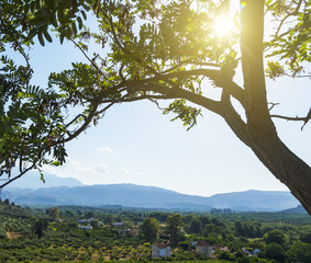 Mountains beautiful inspirational landscape in summer day. sun shines through the branches of a tree in the foreground in Crete Greece, Europe.