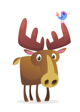 Funny cartoon moose character. Vector moose illustration isolated. Forest animals