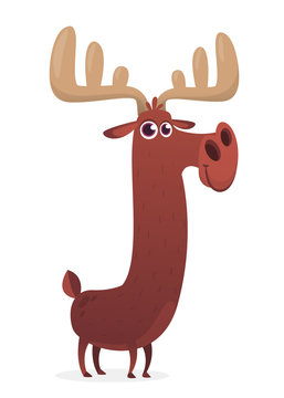 Funny cartoon moose character. Vector moose illustration isolated. 