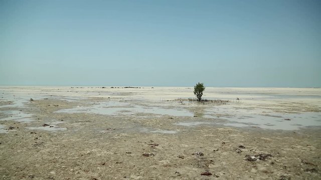 Deserted coastline of Persian Gulf during low tide near abandoned village Al-Jumail in north Qatar