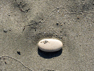 Sandstone in the sand, Lady's mile beach Limassol, Cyprus