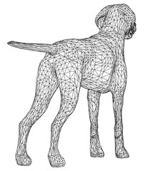 Dog polygonal lines illustration. Abstract vector dog on the white background