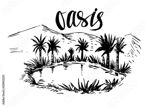 "Sketch of oasis in the desert. Hand drawn illustration converted to