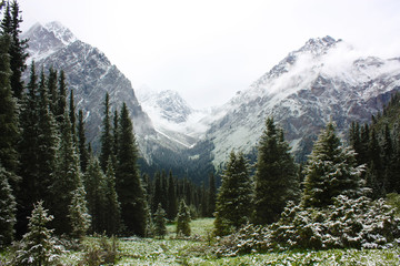 Snow on a summer day