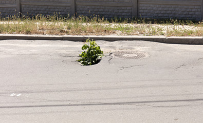 bad asphalt road, pit on the road
