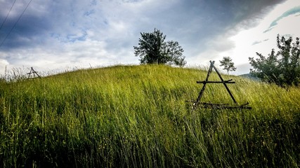 Fototapeta premium Rajcinovice meadow