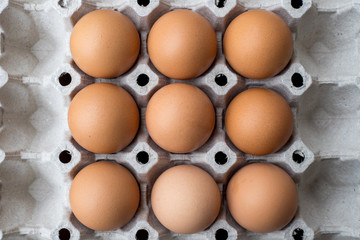 9 eggs stack on the tray