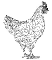 Chicken hen polygonal lines illustration. Abstract vector hen on the white background