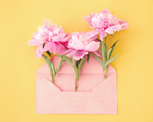 Three flowers of a peony in a pink envelope on a yellow background, top view, toned