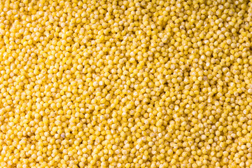 Closeup of yellow millet grains for background or texture.