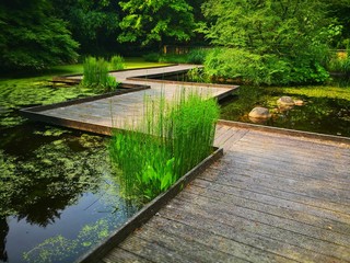 Teich mit Holzsteg im asiatischen Garten