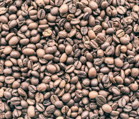 Background of coffee beans