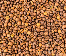 Background of coffee beans