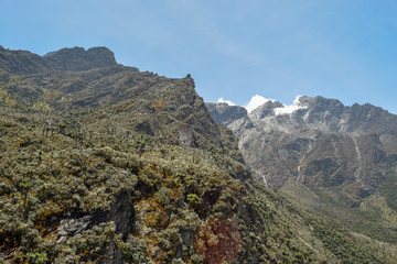 Fototapeta na wymiar Mount Stanley in the Rwenzori Mountains Range seen from Bujuku Valley, Rwenzori Mountains, Uganda