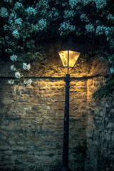 Lamp Illuminating Brick Wall Surrounded by Flowers
