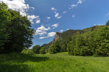 Landscape with mountain grass and sky
