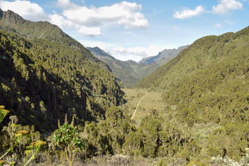 An aerial view of lower bigo bog in the Bujuku Valley, Rwenzori Mountains National Park, Uganda