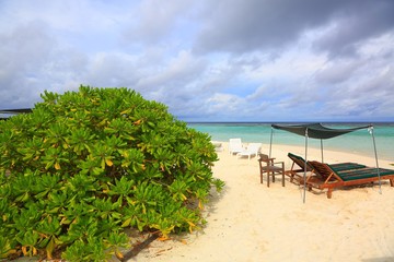 Gorgeous coast of island in Indian Ocean. White sand beach with green plants and sun loungers. Amazing turquoise water and white clouds on blue sky. Terrific nature landscape backgrounds.