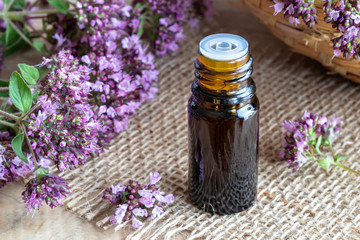 A bottle of oregano essential oil with blooming oregano